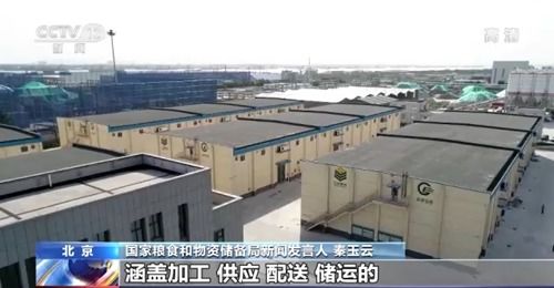 我國(guó)糧食市場(chǎng)供應(yīng)充足且抗外部波動(dòng)，農(nóng)業(yè)企業(yè)托管服務(wù)助力產(chǎn)業(yè)穩(wěn)定發(fā)展